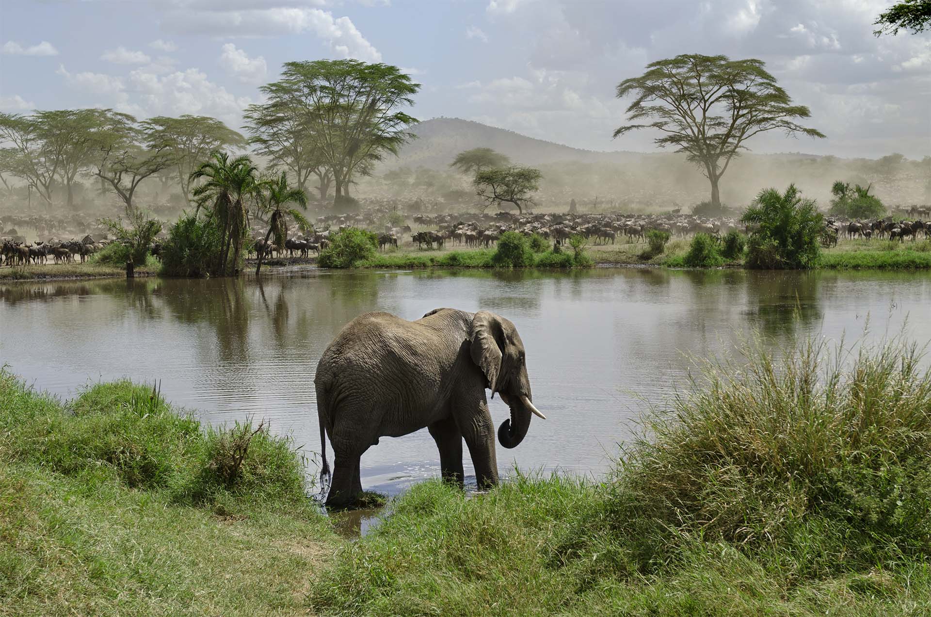 8Day-Wildlife-Safari-including-Wildebeest-Migration